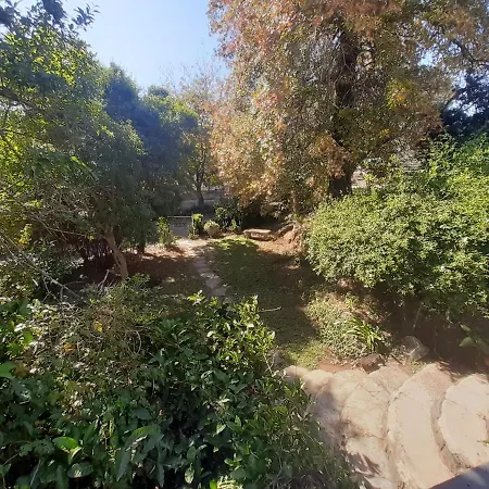 Lavender Lane-3